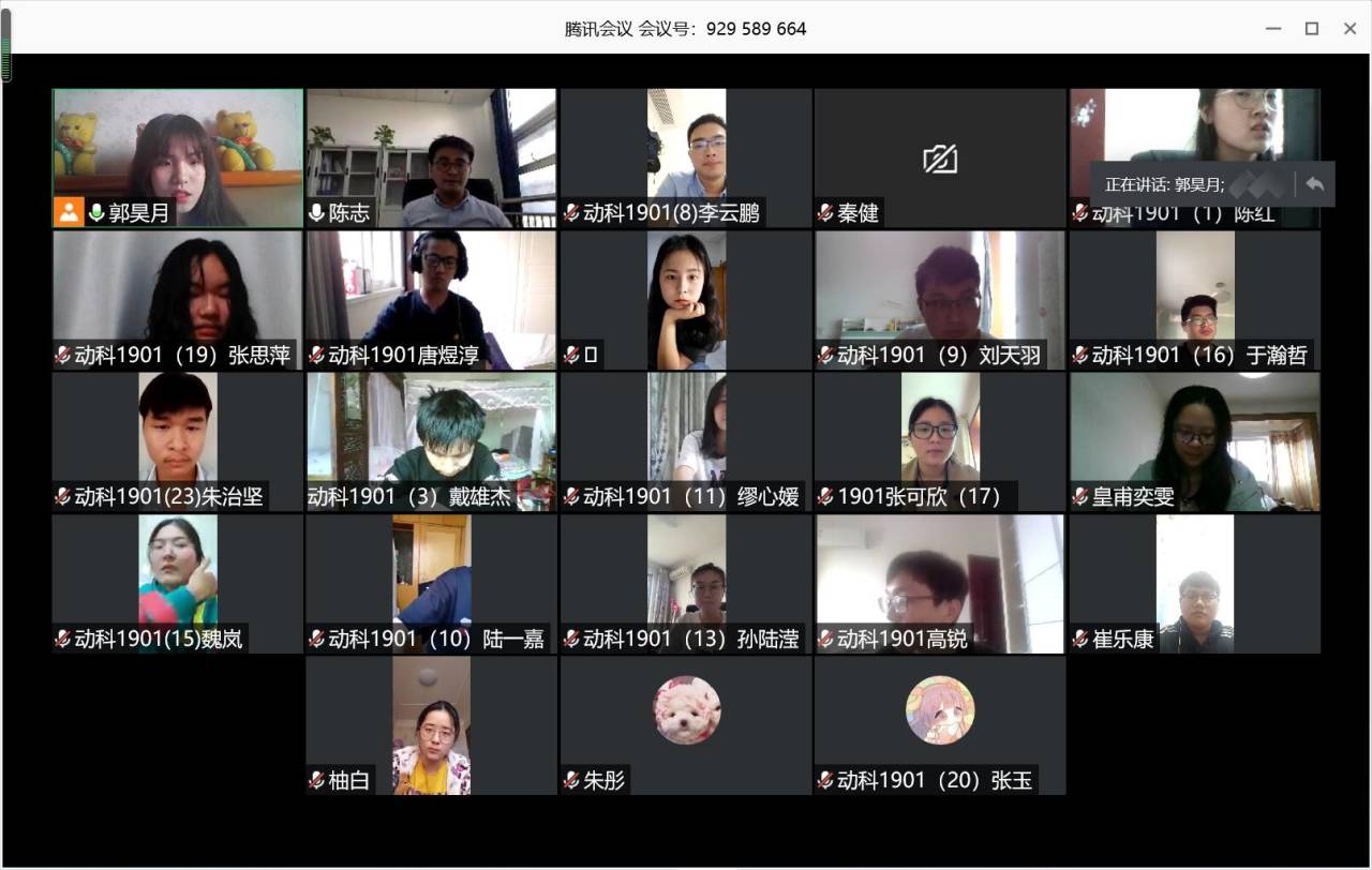 347790A4109653A3C83D7A50C837F6FD.png 347790A4109653A3C83D7A50C837F6FD.png