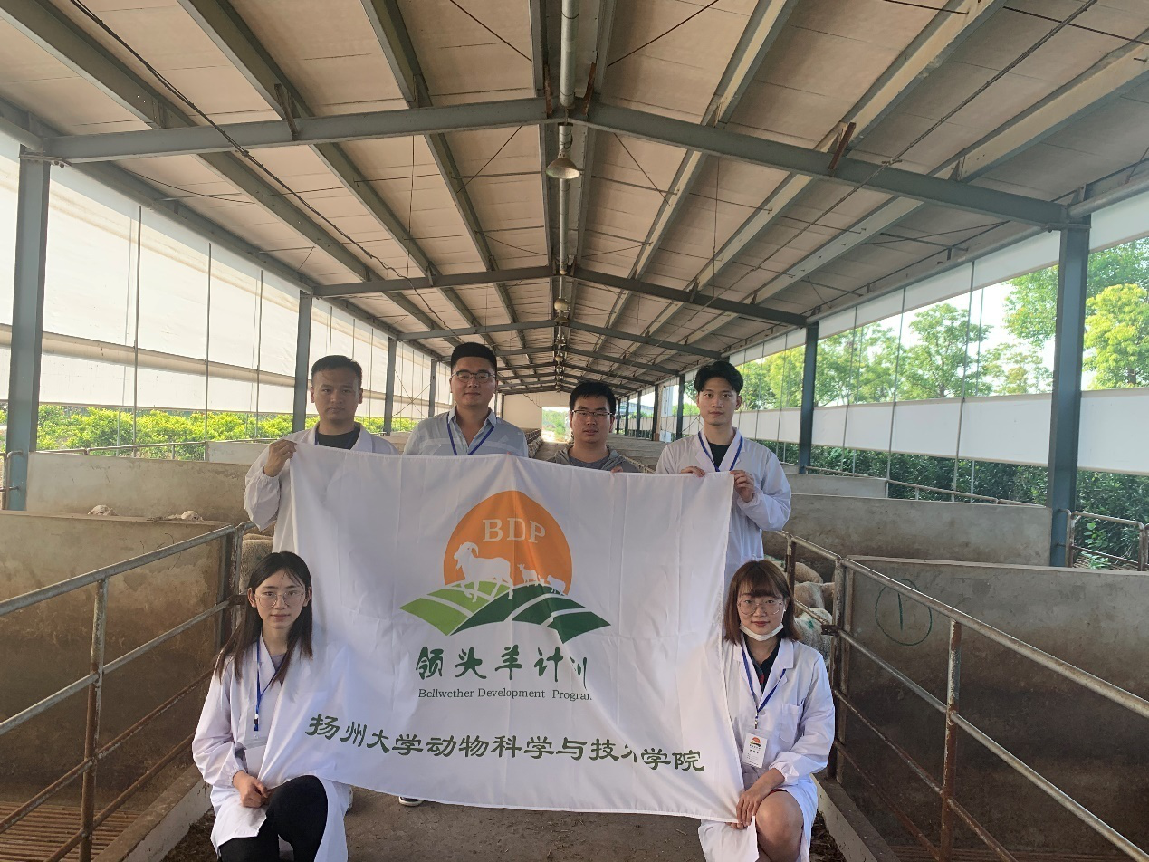 领头羊1.jpg 领头羊1.jpg